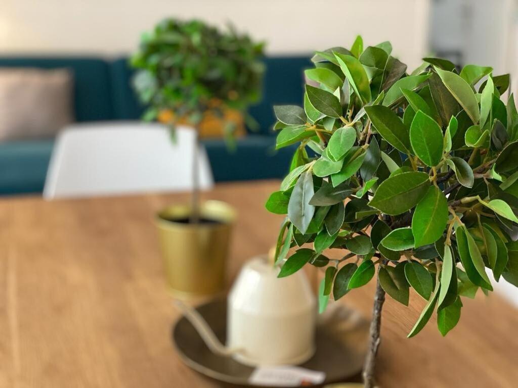 Le Cocon De Jeanne Apartamento Ruão